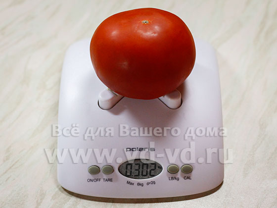 Сколько весит большой помидор