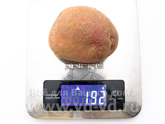 Вес одной картошки среднего размера