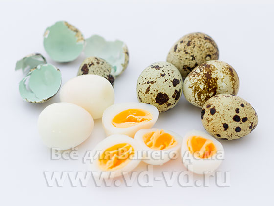 Яйца перепелиные нарезаны пополам